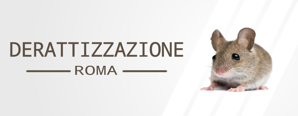 Derattizzazione Ratti Via Cavour - a Via Cavour. Contattaci ora per avere tutte le informazioni inerenti a Derattizzazione Ratti Via Cavour, risponderemo il prima possibile.