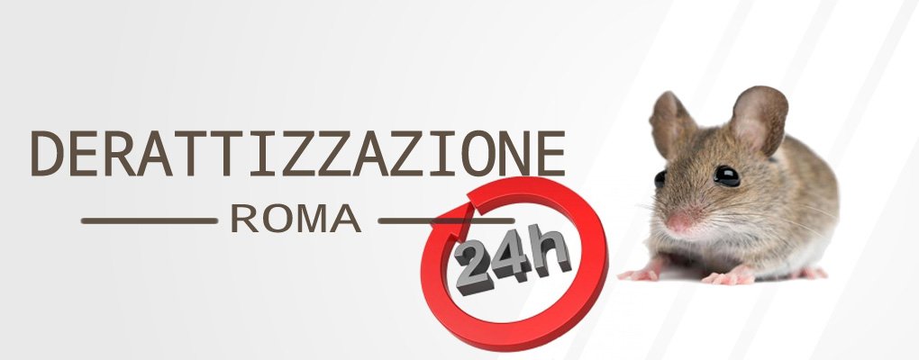 pronto intervento derattizzazione Roma